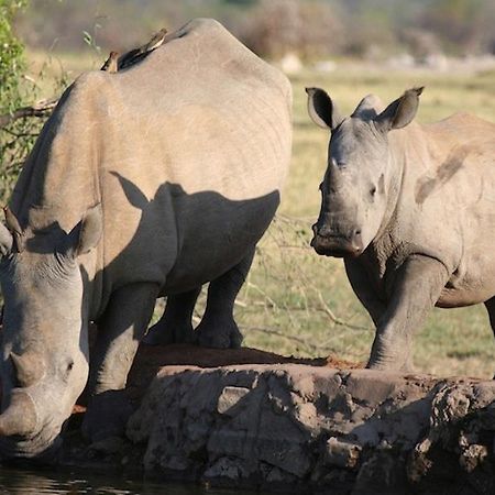 Jamala Madikwe Royal Safari Lodge Mochudi Kültér fotó